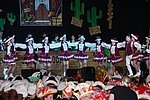 082.jpg