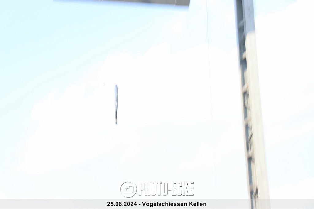 010.jpg