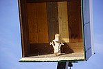 065.jpg