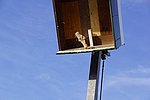 067.jpg