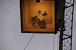 073.jpg