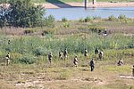 061.jpg