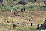 064.jpg