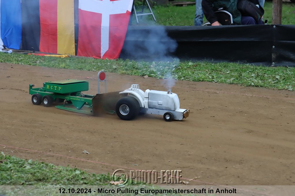 139.jpg